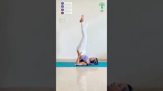 Sarvangasana Flow Elevate Your Practice with Shoulder Stand  Daily Yoga  Yoga Life sarvangasana [upl. by Britni]