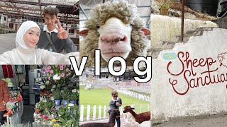 FIRST VLOG WITH AYANG   AMMOR HAPPYKAN TEAH 24 JAM [upl. by Suiramaj]