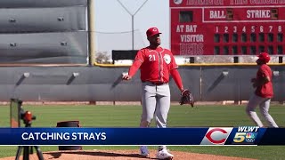 Reds Elly De La Cruz hits pitcher Hunter Greenes car with foul ball [upl. by Chic]