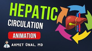 ♻️ HEPATIC BLOOD amp BILE CIRCULATION ANIMATION JUST 1 MINUTE [upl. by England]