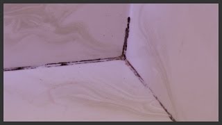 Remove amp replace moldy shower caulk [upl. by Vivianna127]