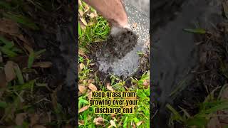 Find your yard drains discharge end  Keep it clear of grass amp debris [upl. by Marieann]