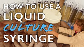 How to Use a Liquid Culture Syringe to Inoculate Grain Spawn the First Step in Mushroom Cultivation [upl. by Jaan]