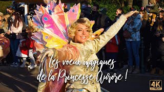 Les Vœux Magiques de la Princesse Aurore  Spectacle Enchanté au Château de Disneyland Paris [upl. by Byran]