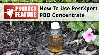 How to Use PestXpert Pyrethrum PBO Plus Concentrate [upl. by Ytak]