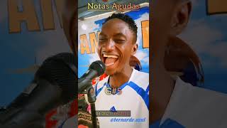 Agudos em 1 Ano  Evolução  Bernardo Azul  vocals whistle voice angolano angola artmusic [upl. by Fishbein]