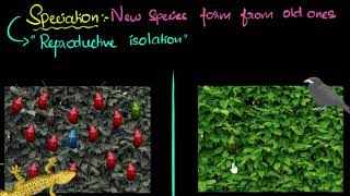 Speciation with example  Heredity amp Evolution  Biology  Khan Academy [upl. by Roxy]