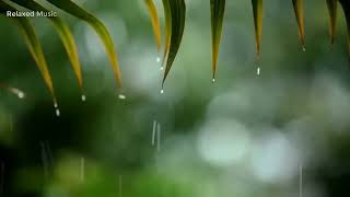 10 Hours of Relaxing Music Sleep Music with Rain Sound Piano Music for Stress Relief [upl. by Madelyn]