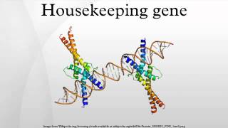 Housekeeping gene [upl. by Antons331]