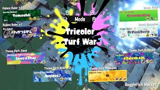 Splatfest 17  Palace vs Theme Park vs Beach Tricolor Battles [upl. by Htebezile]