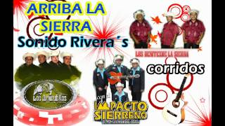 arriba la sierra mix armadillos los benitez impacto sierreño corridos [upl. by Lanna91]