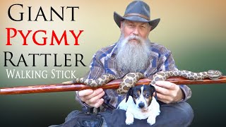 Carving a Massasauga Rattlesnake Walking Stick [upl. by Martita671]