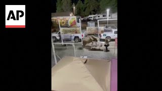 WATCH Rodeo bull hops fence at Oregon arena injures 3 before being captured [upl. by Yensehc808]