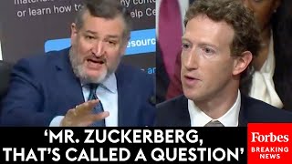 SUPERCUT Mark Zuckerberg Faces Grilling By Judiciary Committee Senators  Hearing Of The Week [upl. by Rae]