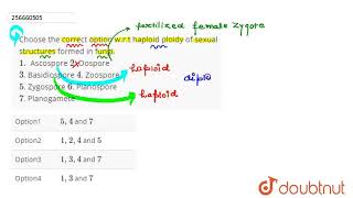 Choose the correct option wrt haploid ploidy of sexual structures formed in fungi 1 Ascospor [upl. by Annahsar]