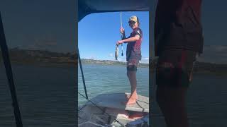 Fishing with yabbies fishing australia nsw yabbies whitening [upl. by Leyes]