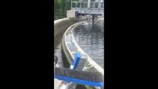 Weir Washer clarifier traveling bridge algae control water [upl. by Berhley]