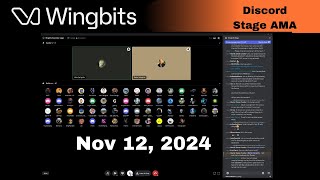 Wingbits Discord Stage Nov 12th 2024 [upl. by Biancha]