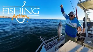 Snapper Teraglin  flathead  Morwong  Sydney Reef Fishing  Long Reef Sydney  Fishing Action [upl. by Valerlan423]