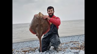 Ray fishing at the Knapp [upl. by Egroj]