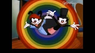 Animaniacs  Tiny Toons Intro Reference PolishPolski HQ [upl. by Annodam797]