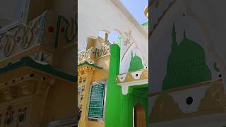 Ajmer sharif live jiyarat karte huye ajmersarif qawwali ajmersharif youtubeshorts shorts viral [upl. by Gish788]