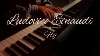 Fly  Ludovico Einaudi Relaxing Piano Music [upl. by Yllom]