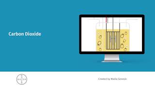 Bayer Bioreactor eLearning Course [upl. by Lemmor]