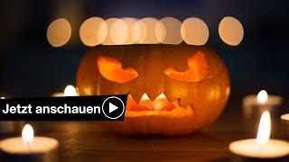 📷 Coole Kürbis Fotos an Halloween fotografieren 👻 Benjamin Jaworskyj fotografieren lernen [upl. by Nivrehs]