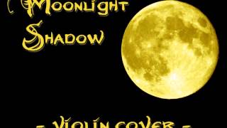 Moonlight Shadow  violin cover [upl. by Dacey563]