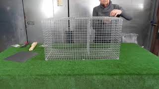 Single catch side entry crow trap [upl. by Donnenfeld]