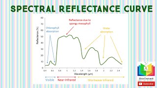 REMOTE SENSING  SPECTRAL REFLECTANCE CURVE [upl. by Ivgnout]