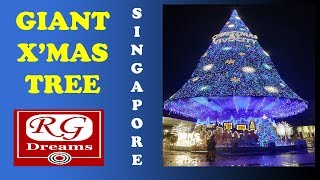 ✅ Singapore Biggest Christmas Tree at VivoCity Mall  Singapore Christmas light up  WATCH THIS [upl. by Lednik]