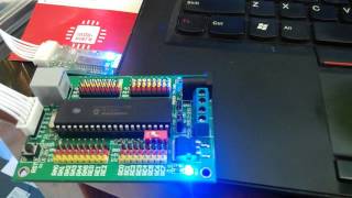 mini PICkit2 PIC kit2 PICkit 2 usb download programmer [upl. by Kelleher981]