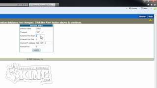 Netopia 3300 Port Forwarding Steps [upl. by Stu]