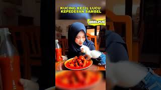 KUCING KECIL LUCU KEPEDESAN SAMBEL kucingkecillucu animasi ai feedshorts [upl. by Schumer]