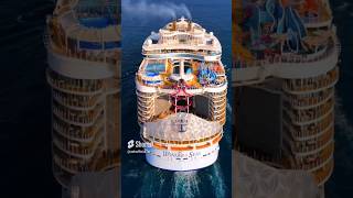 Most Expensive amp Hilarious Cruise 🚢 Antarctica Cruise l antarctica viral shortvideo shortfeed [upl. by Bilbe]