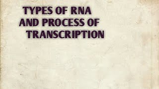 Types of RNA and process of transcription of class 12 [upl. by Enened]