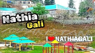 Nathia Gali  Beautiful Nathia Gali  Nathia Gali Pakistan  Toady weather of Nathia Gali [upl. by Hendrika]