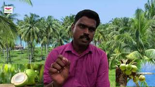 உடல் உஷ்ணத்தையும் உடல் எடையும் குறைக்கலாமா  Wisdom Kitchen food organic natural cooking [upl. by Orodisi]