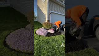 Mulching lawncare mulch lawn gardenmulch columbusohio landscaping oaklandslawn [upl. by Crandale478]