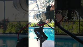 Why EVERY Sports Videographer Needs This Monopod Cayer FP34 Monopod Review [upl. by Ahsienauq]