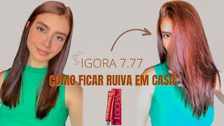 Pintando o cabelo com igora 777  Do castanho ao ruivo com Igora  Como faço maquiagem básica 🦊✨ [upl. by Airamas]