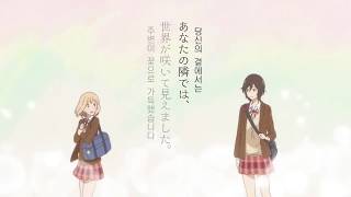 자막 나팔꽃과 카세상 PV 【Kase san and Morning Glories OVA Teaser PV】 [upl. by Akeim]