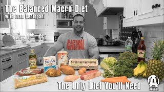 The Only Diet Youll Need The Balanced Macro Diet with Evan Centopani [upl. by Reemas64]