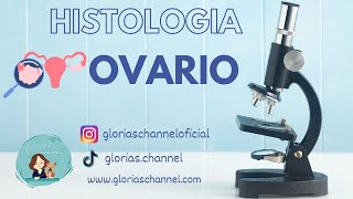 Histología para medicina Ovario [upl. by Polash60]