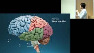 Dr Octavio Choi presents Brain Basics An Introduction to Cognitive Neuroscience [upl. by Annodas988]