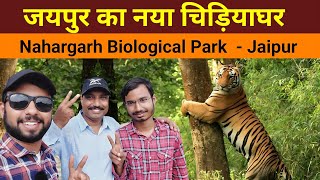 Nahargarh Biological Park  Jaipur zoo  Lion Safari  Jaipur ka Chidiyaghar  Rajasthan Tourism [upl. by Riobard522]