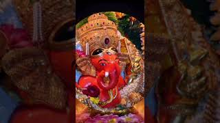 Sankashti Chaturthi October 2024Sankashti Chaturthi Whatsapp Statussankashtichaturthishorts [upl. by Sula]