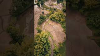 Beautiful Bird eye view 😍canitakeaphoto photographer cinematography naturephotography [upl. by Bashemeth]